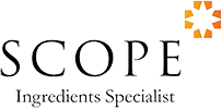 branding logo